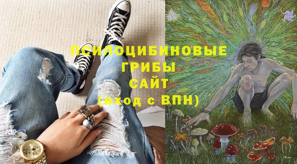 MDMA Лагань