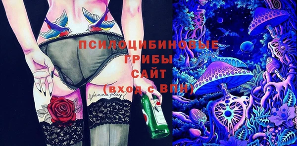 MDMA Лагань